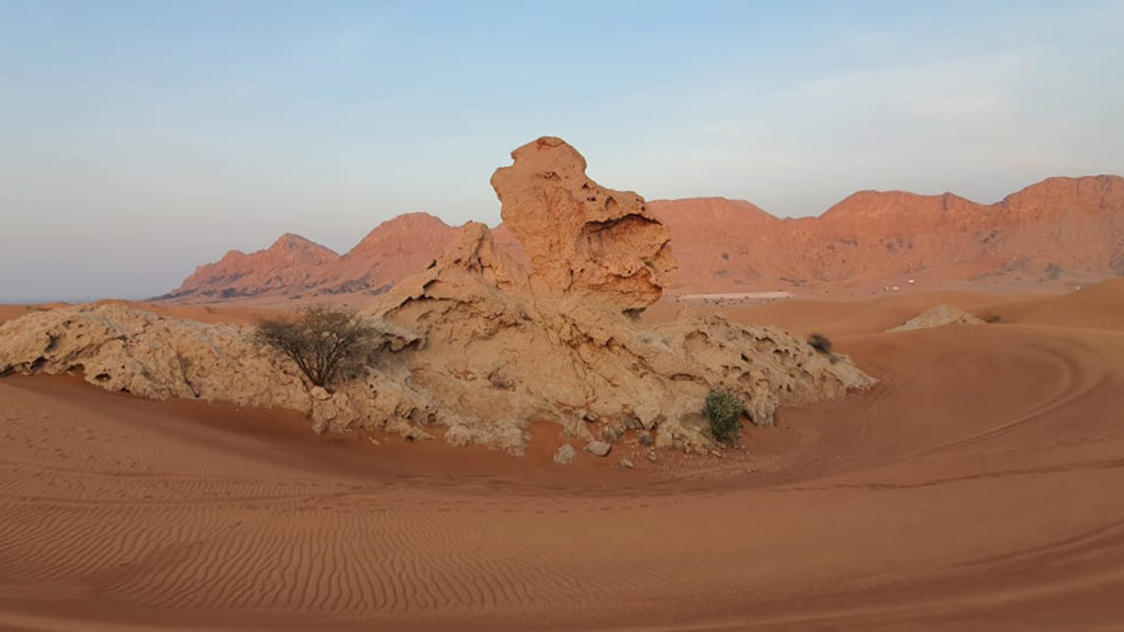 Fossil Rock Oasis