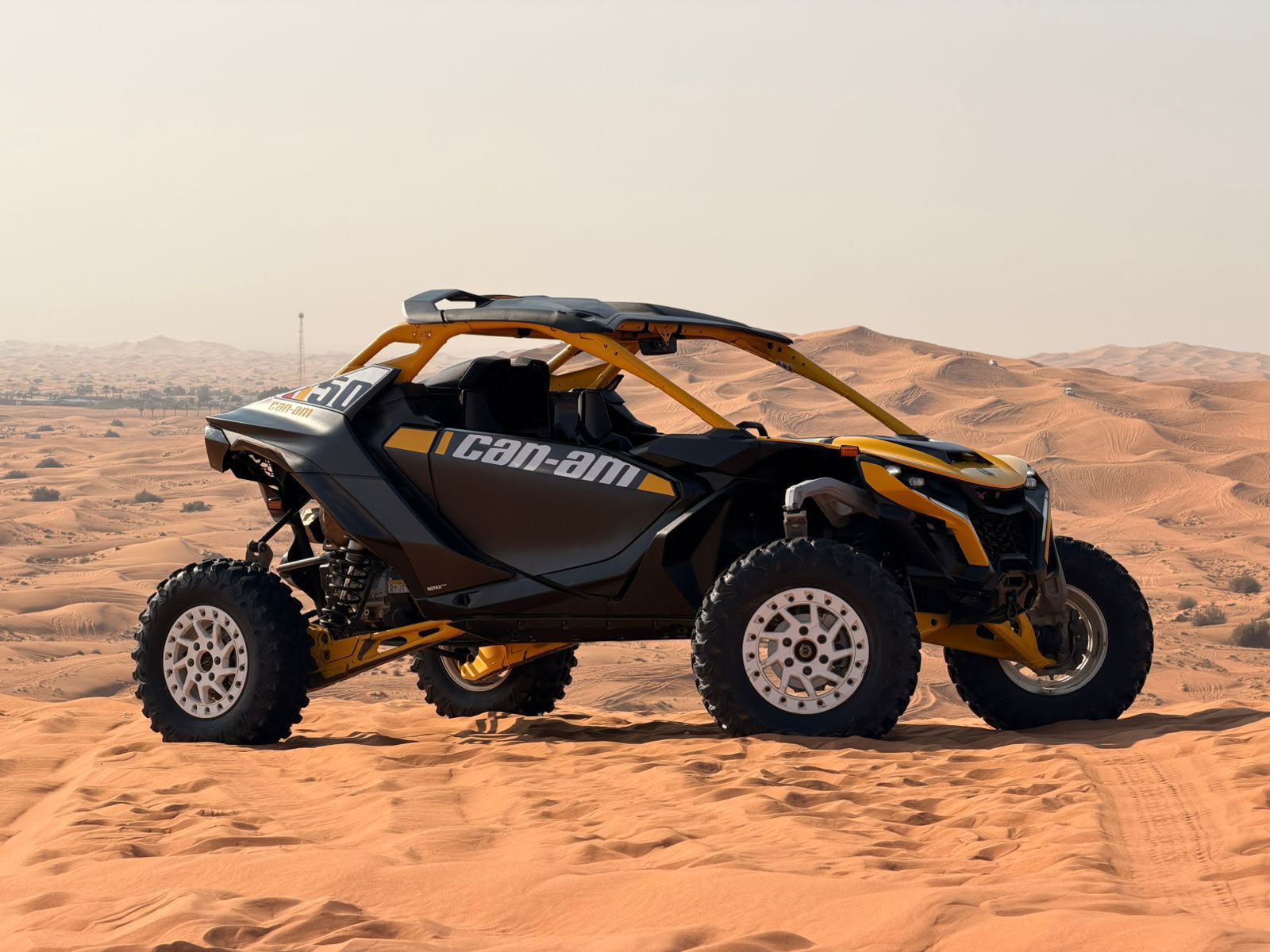 Sunset Dune Buggy Extravaganza