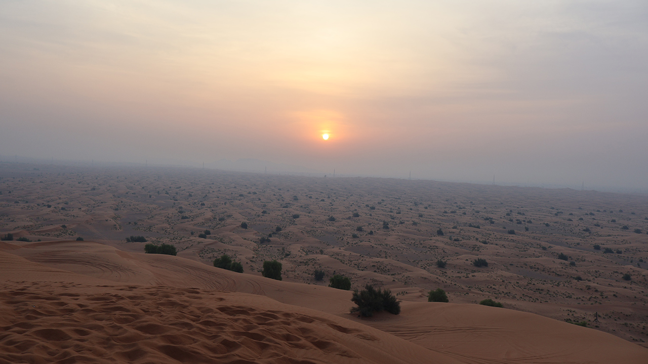 Golden Hour Desert Safari Sunrise