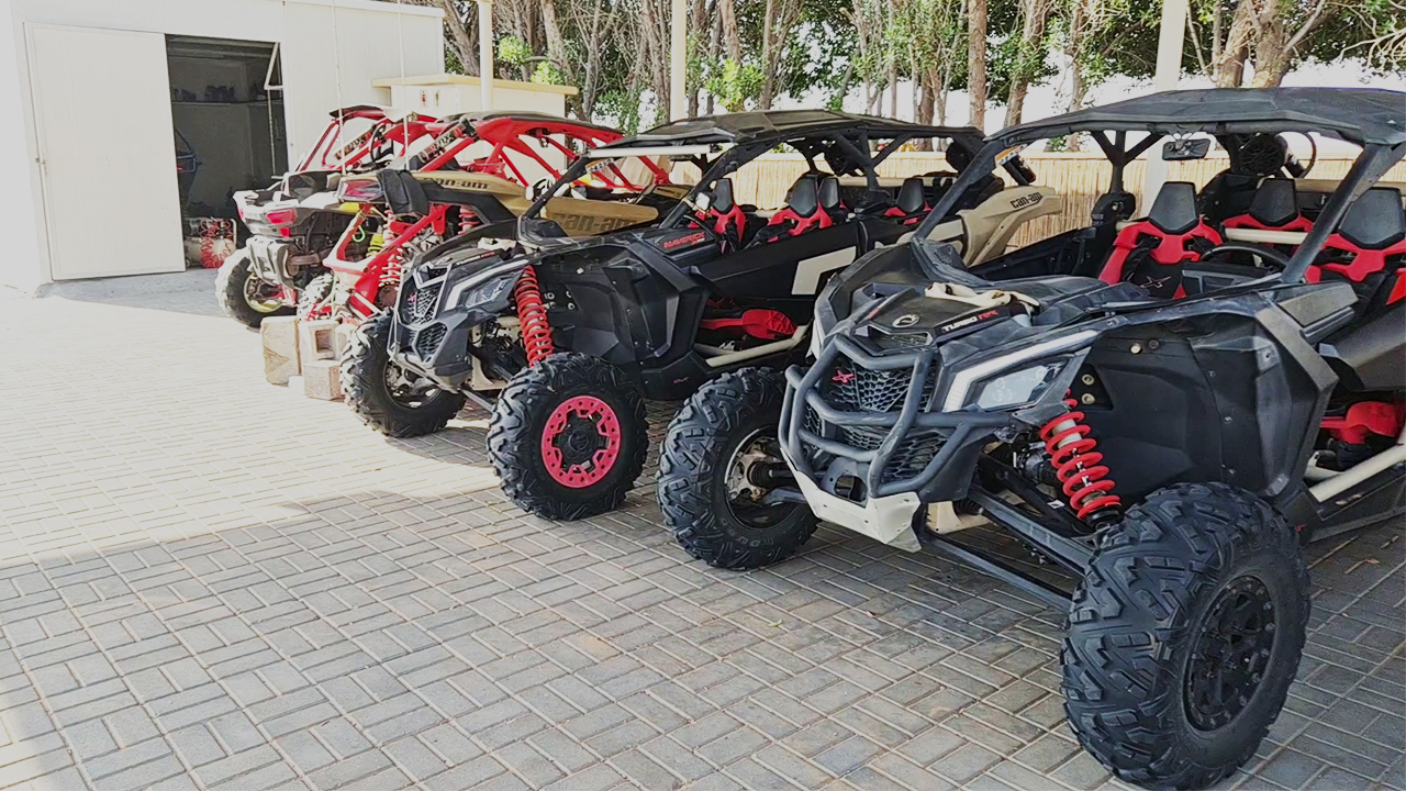Buggy Action
