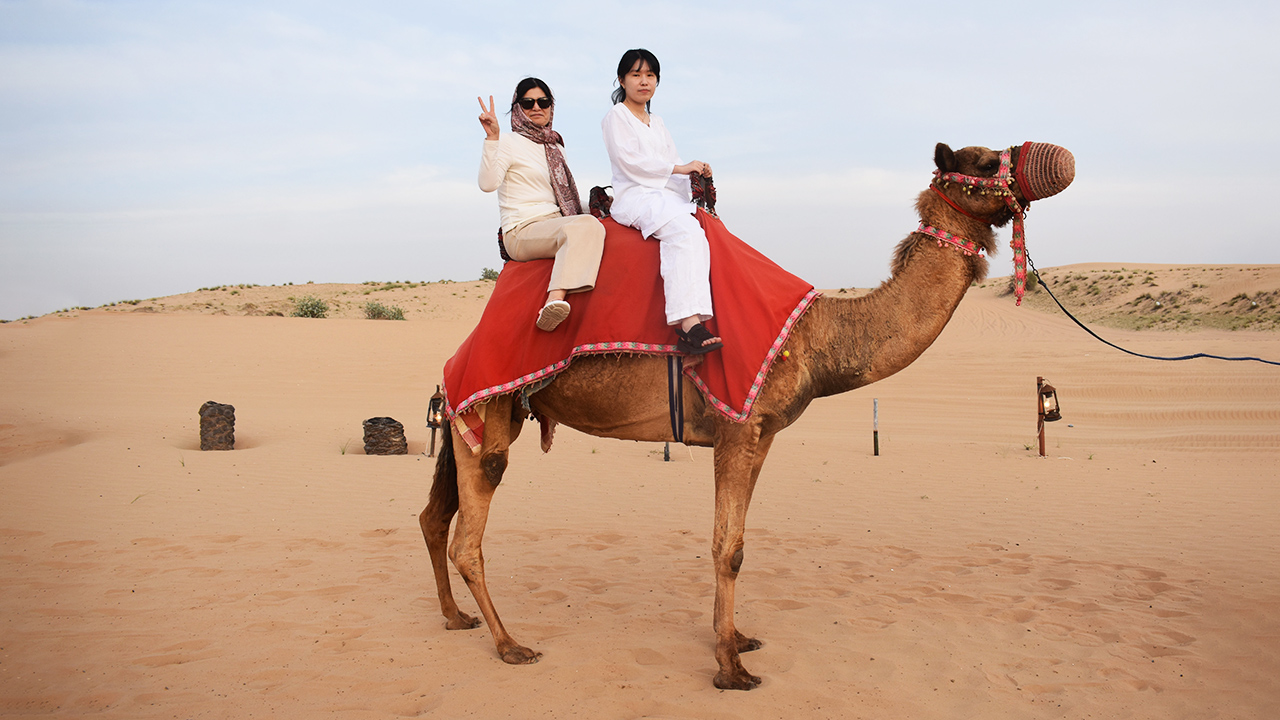 Morning Desert Sandboarding