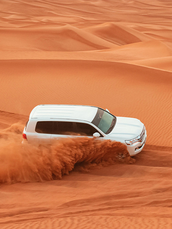 Activities - Desert Safari - Certified Adventures